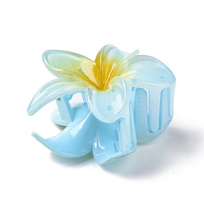 Plastic Claw Hair Clips OHAR-P020-08A-1