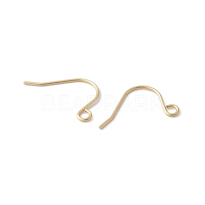 316 Surgical Stainless Steel Earring Hooks STAS-Z124-02C-G-1