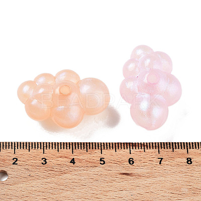 Transparent Acrylic Beads OACR-Z013-02B-1
