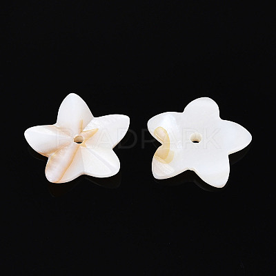 Natural Freshwater Shell Beads BSHE-T014-14-1