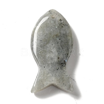 Natural Labradorite Pendants G-G932-B21-1