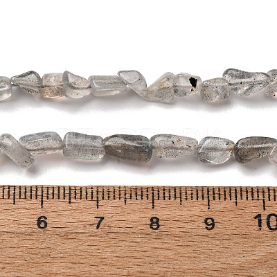Natural Labradorite Beads Strands G-I389-A35-01B-1