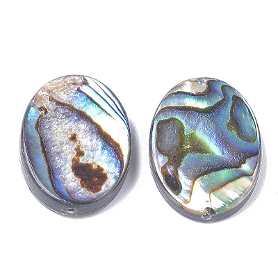 Natural Abalone Shell/Paua Shell Beads X-SSHEL-T008-14-1