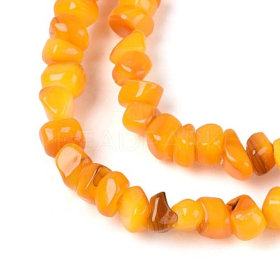Natural Freshwater Shell Beads Strands SHEL-N037-04G-1