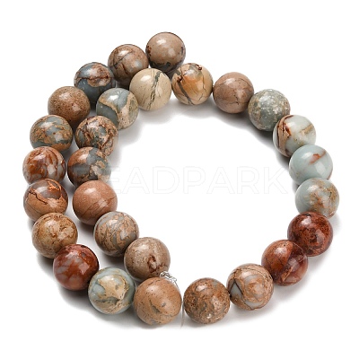 Natural Aqua Terra Jasper Beads Strands G-Z110-C01-14mm-1