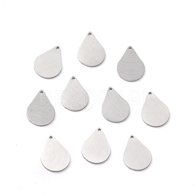 Tarnish Resistant 304 Stainless Steel Pendants STAS-F271-05B-P-1