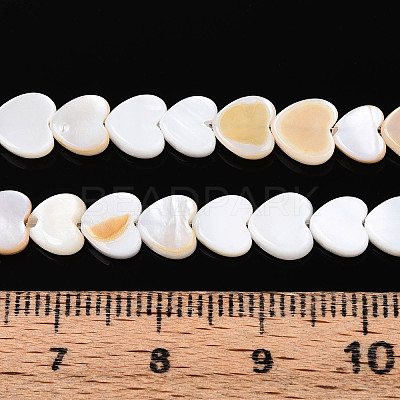 Natural Freshwater Shell Beads Strands SHEL-N026-67A-1