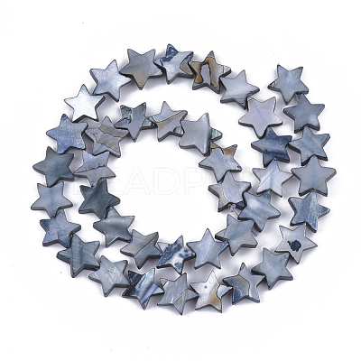 Freshwater Shell Beads Strands X-SHEL-S276-31A-1