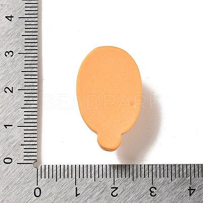 Opaque Resin Imitation Food Decoden Cabochons X-CRES-A058-01G-1