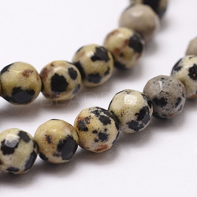 Natural Dalmatian Jasper Beads Strands X-G-D840-49-4mm-1