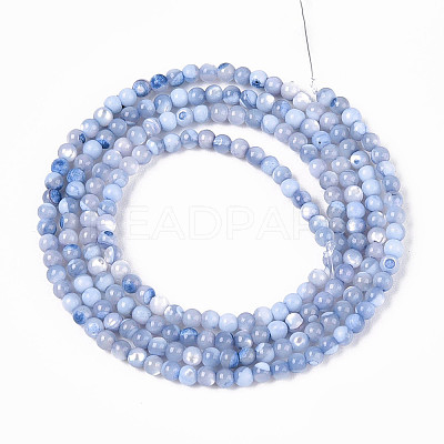 Dyed Natural Trochid Shell/Trochus Shell Beads Strands SSHEL-T017-13M-1