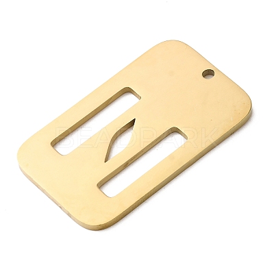 304 Stainless Steel Pendants STAS-D200-01N-G-1