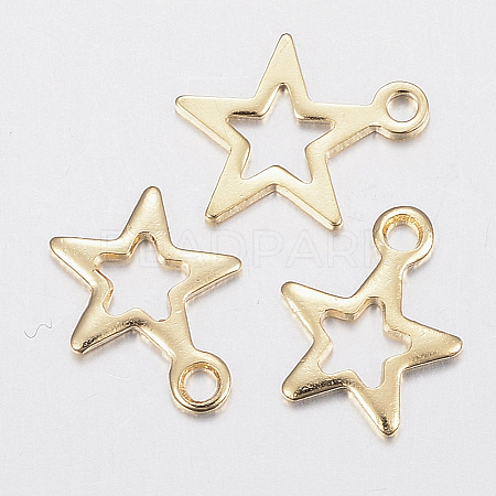 304 Stainless Steel Charms STAS-G179-70G-1