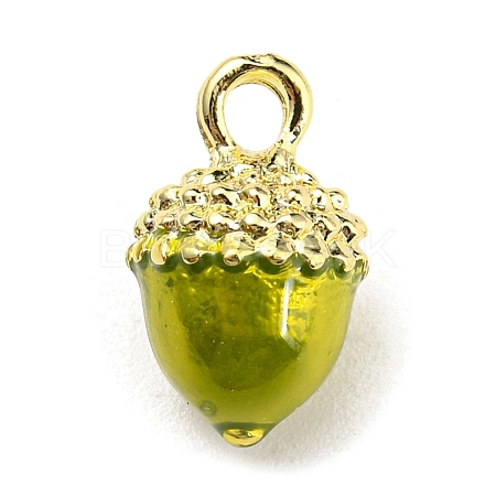 Alloy Charms PALLOY-A005-02G-01-1