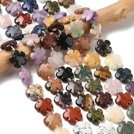 Mixed Natural Gemstone Flower Beads Strands G-L241A-07-1