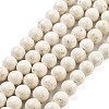 Natural Fossil Beads Strands G-H026-02C-1