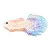 Cellulose Acetate(Resin) Claw Hair Clips PHAR-A014-02A-1