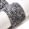 Natural Tanzanite Beads Strands G-S387-A01-3mm-2