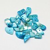 Dyed Natural Freshwater Shell Nuggets Chips Beads X-SHEL-O001-13C-1