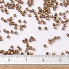 MIYUKI Delica Beads X-SEED-J020-DB0115-4