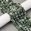 Natural Green Spot Jasper Beads Strands G-G146-A26-02-2