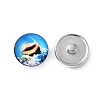Brass Jewelry Snap Buttons BUTT-WH0028-01B-2