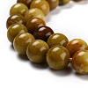 Natural Yellow Opal Beads G-P446-02C-3