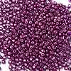 6/0 Glass Seed Beads SEED-A017-4mm-1121-2
