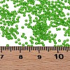 15/0 Transparent Czech Glass Seed Beads SEED-N004-004-09-6
