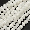 Natural Crackle Quartz Beads Strands X-G-N0007-10mm-11-3