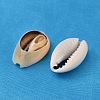 Natural Cowrie Shell Beads X-BSHE-S052-2