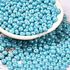 Baking Paint Luster Glass Seed Beads X1-SEED-B001-04A-03-1