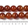 Natural Red Agate(Dyed & Heated) Beads Strands G-H087-A01-20MM-4