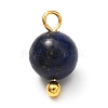 Natural Mixed Gemstone Charms X-PALLOY-JF00992-01-3