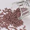 12/0 FGB Grade A Round Glass Seed Beads SEED-N001-A-1047-1