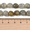 Natural Labradorite Beads Strands GG-CBA787B-A36-4