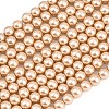 Eco-Friendly Dyed  Glass Pearl Round Beads Strands HY-A002-8mm-RB064-1