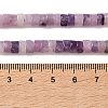 Natural Lepidolite/Purple Mica Stone Beads Strands G-M420-A19-01-5