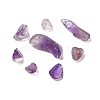 Natural Amethyst Chip Beads G-Q193-02A-2