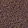 MIYUKI Round Rocailles Beads SEED-G007-RR0301-4