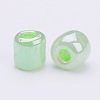 6/0 Glass Seed Beads SEED-US0003-4mm-144-2