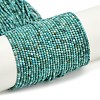 Natural HuBei Turquoise Beads Strands G-C181-A01-01-2