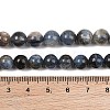 Natural Kyanite/Cyanite/Disthene Beads Strands G-G272-A01-8mm-9