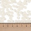 Transparent Colours Glass Seed Beads X1-SEED-P008-01B-06-4