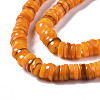 Natural Freshwater Shell Beads Strands SHEL-Q024-001H-3