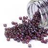 TOHO Round Seed Beads SEED-XTR11-0425-2