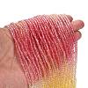 Transparent Painted Glass Beads Strands DGLA-A034-T1mm-A07-2