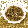 Baking Paint Transparent Glass Seed Beads X-SEED-N006-05C-2