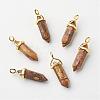 Natural Picture Jasper Double Terminated Pointed Pendants G-G902-B12-2