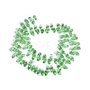 Crystal Glass Beads Strands X-GLAA-D033-19-2